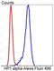 Chromobox 5 antibody, NBP2-67349, Novus Biologicals, Flow Cytometry image 