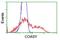 Coenzyme A Synthase antibody, NBP2-01081, Novus Biologicals, Flow Cytometry image 