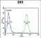 Espin antibody, PA5-72483, Invitrogen Antibodies, Flow Cytometry image 