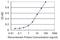 Cell Division Cycle 20B antibody, H00166979-M11, Novus Biologicals, Enzyme Linked Immunosorbent Assay image 