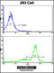 ATP Synthase Peripheral Stalk Subunit OSCP antibody, 63-519, ProSci, Flow Cytometry image 