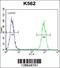 ELAV Like RNA Binding Protein 2 antibody, 56-745, ProSci, Immunofluorescence image 