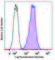 TRA-2-49 antibody, 358706, BioLegend, Flow Cytometry image 