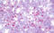 Acyl-CoA Binding Domain Containing 3 antibody, MBS249181, MyBioSource, Immunohistochemistry frozen image 