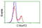 Chromosome 16 Open Reading Frame 72 antibody, TA501515, Origene, Flow Cytometry image 