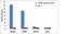 CAMP Responsive Element Binding Protein 1 antibody, GTX15731, GeneTex, Chromatin Immunoprecipitation image 