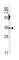 Carbonic Anhydrase 3 antibody, abx033550, Abbexa, Western Blot image 