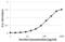 Ferritin Light Chain antibody, MA5-14735, Invitrogen Antibodies, Enzyme Linked Immunosorbent Assay image 