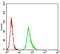 Estrogen Receptor 1 antibody, NBP2-61764, Novus Biologicals, Enzyme Linked Immunosorbent Assay image 