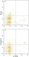 GCSFR antibody, MA5-24339, Invitrogen Antibodies, Flow Cytometry image 