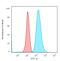 Moesin antibody, GTX34849, GeneTex, Flow Cytometry image 