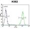 Sphingomyelin Phosphodiesterase 1 antibody, abx026668, Abbexa, Flow Cytometry image 