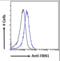 Fibrillin 1 antibody, orb20385, Biorbyt, Flow Cytometry image 