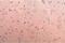 Beta-Secretase 1 antibody, GTX11028, GeneTex, Immunohistochemistry paraffin image 