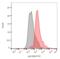 CD28 antibody, LS-C204425, Lifespan Biosciences, Flow Cytometry image 