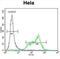 SRSF Protein Kinase 1 antibody, abx033470, Abbexa, Flow Cytometry image 