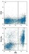Cytotoxic And Regulatory T Cell Molecule antibody, FAB16951P, R&D Systems, Flow Cytometry image 