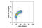 Cyclin Dependent Kinase 2 antibody, 14174S, Cell Signaling Technology, Flow Cytometry image 