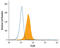 Fc Fragment Of IgA Receptor antibody, AF3939, R&D Systems, Flow Cytometry image 