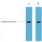 mCherry Tag  antibody, LS-C387465, Lifespan Biosciences, Western Blot image 