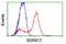 Short Chain Dehydrogenase/Reductase Family 9C Member 7 antibody, LS-C172451, Lifespan Biosciences, Flow Cytometry image 