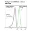 CD58 Molecule antibody, LS-C134511, Lifespan Biosciences, Flow Cytometry image 