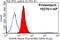 Signal Sequence Receptor Subunit 2 antibody, 10278-1-AP, Proteintech Group, Flow Cytometry image 