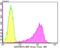 Lysine Acetyltransferase 8 antibody, NBP2-76844, Novus Biologicals, Flow Cytometry image 