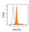 Beta-Actin antibody, NBP1-47423, Novus Biologicals, Flow Cytometry image 