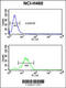 Growth Arrest And DNA Damage Inducible Alpha antibody, 61-503, ProSci, Flow Cytometry image 