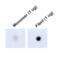 Microtubule Associated Protein Tau antibody, 57012, QED Bioscience, Dot Blot image 