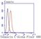 Tenascin C antibody, NBP2-67479, Novus Biologicals, Flow Cytometry image 