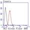 Thymidine Kinase 1 antibody, NBP2-67199, Novus Biologicals, Flow Cytometry image 