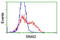 Snail Family Transcriptional Repressor 2 antibody, LS-C175177, Lifespan Biosciences, Flow Cytometry image 