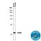 Microseminoprotein Beta antibody, AF3780, R&D Systems, Western Blot image 