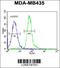 Ras Related GTP Binding D antibody, 61-732, ProSci, Immunofluorescence image 