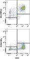 C-C Motif Chemokine Ligand 4 antibody, IC271A, R&D Systems, Flow Cytometry image 