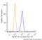 Tubulin antibody, NB600-506AF488, Novus Biologicals, Flow Cytometry image 