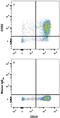 C-C Motif Chemokine Receptor 2 antibody, MAB150-100, R&D Systems, Flow Cytometry image 