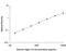 Sialic Acid Binding Ig Like Lectin 6 antibody, AF2859, R&D Systems, Enzyme Linked Immunosorbent Assay image 