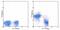CD38 Molecule antibody, 56-0381-82, Invitrogen Antibodies, Flow Cytometry image 