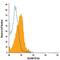 Activated Leukocyte Cell Adhesion Molecule antibody, MA5-23565, Invitrogen Antibodies, Flow Cytometry image 