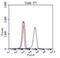 BCR Activator Of RhoGEF And GTPase antibody, NBP1-19097, Novus Biologicals, Flow Cytometry image 