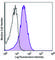 C-Type Lectin Domain Family 4 Member A antibody, 355302, BioLegend, Flow Cytometry image 