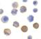 Interleukin 1 Receptor Associated Kinase 1 antibody, NBP1-77068, Novus Biologicals, Immunocytochemistry image 