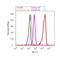 Annexin A1 antibody, 71-3400, Invitrogen Antibodies, Flow Cytometry image 