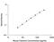 Retinoic Acid Receptor Responder 2 antibody, MCHM00, R&D Systems, Enzyme Linked Immunosorbent Assay image 