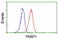 Putative endoplasmin-like protein antibody, LS-C173695, Lifespan Biosciences, Flow Cytometry image 