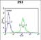 EPS8 Like 3 antibody, PA5-49599, Invitrogen Antibodies, Flow Cytometry image 