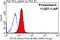 Eukaryotic Translation Initiation Factor 3 Subunit I antibody, 11287-1-AP, Proteintech Group, Flow Cytometry image 